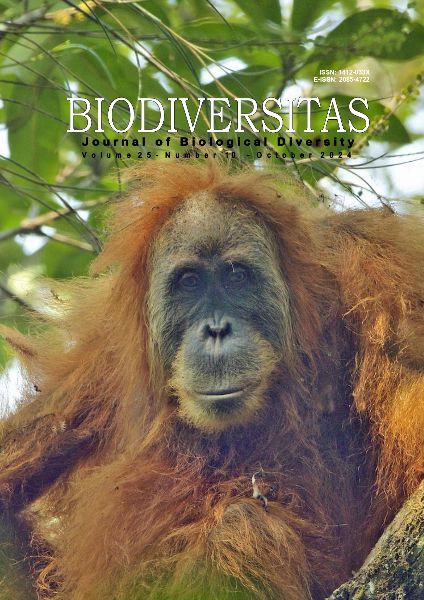 queen 777 casino login register