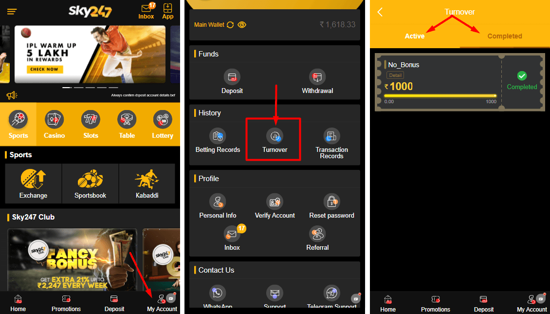 sky247 apk