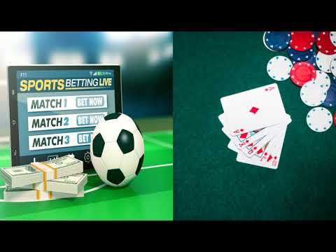 overwatch betting odds