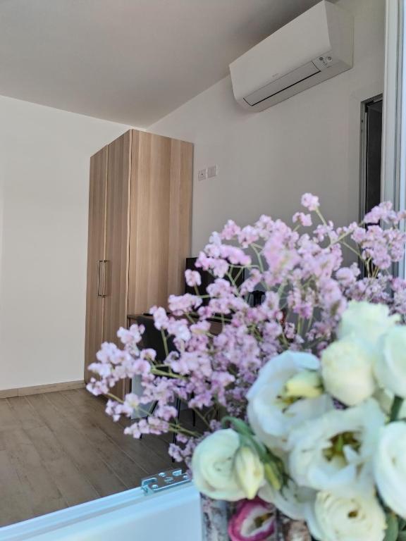 no deposit bonus hello casino